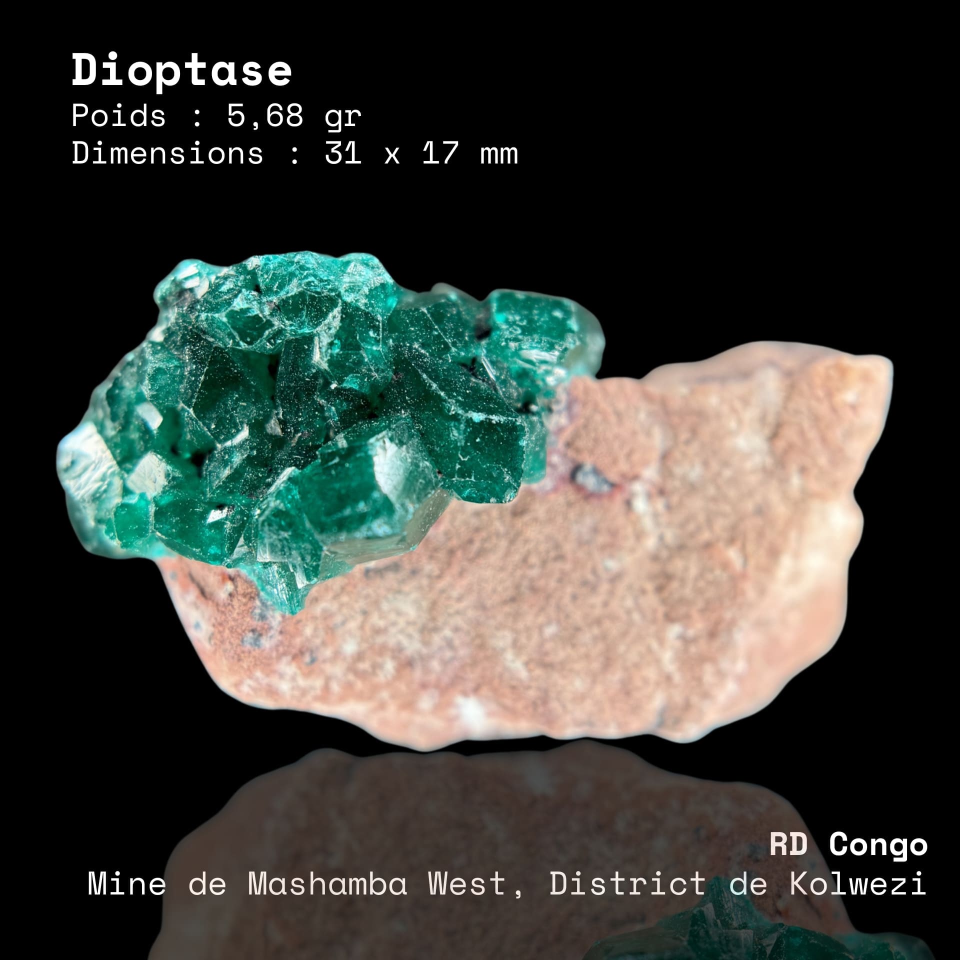Dioptase Verte Émeraude sur gangue - Mashamba West (RD Congo)