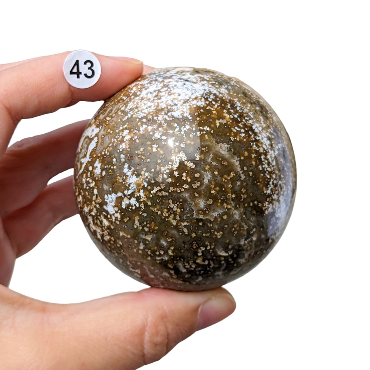 sphere jaspe orbiculaire numéro 44