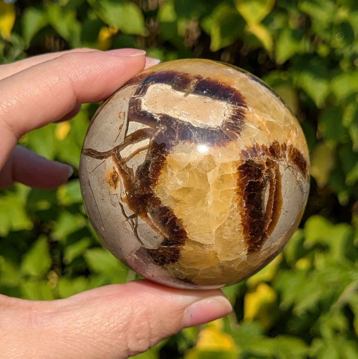 Sphère septaria