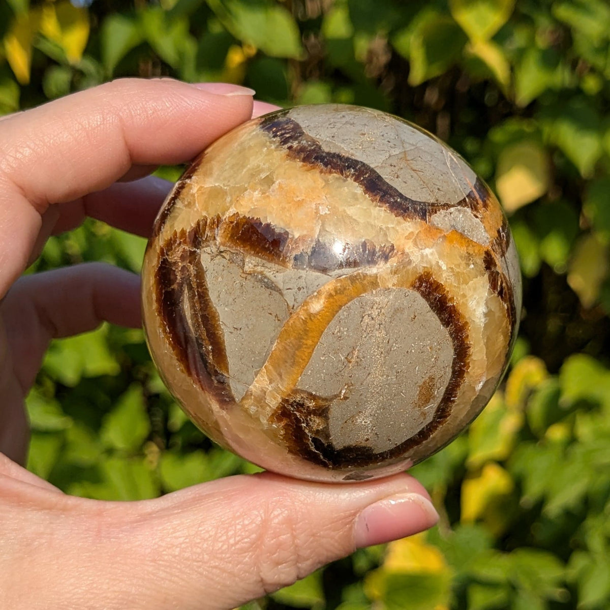 Sphère septaria