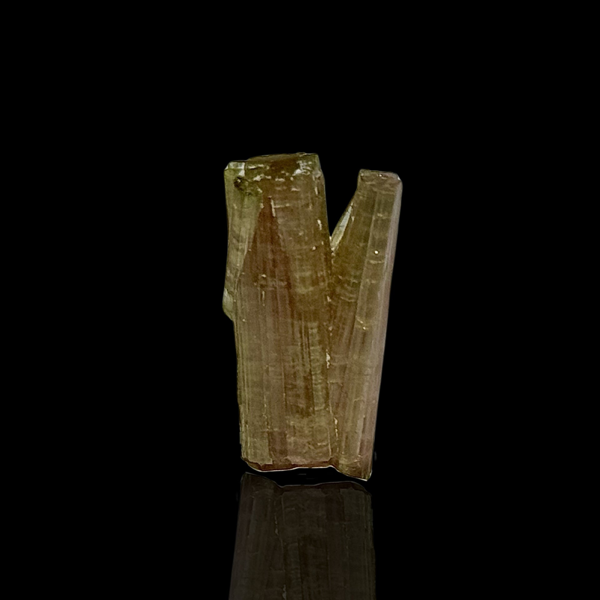 Tourmaline Bicolore — Mine de Chhappu, Pakistan
