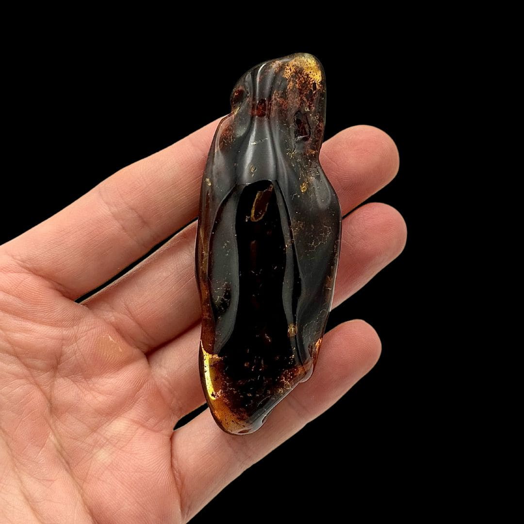 Ambre Fossile (8,5 cm) - Pologne
