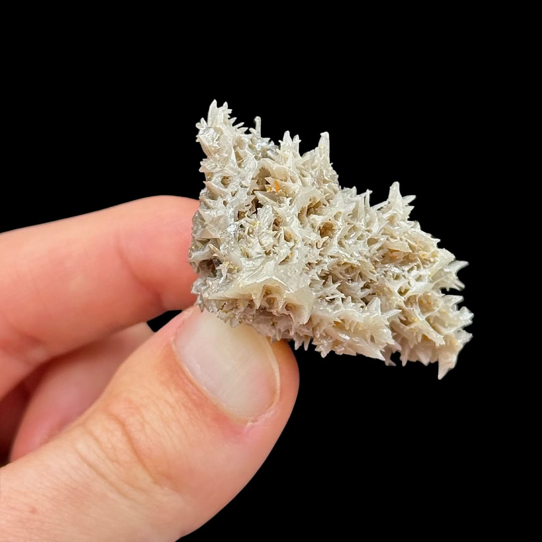 Cérussite Cristallisée et Wulfénite - Mine de Nakhlak  #29