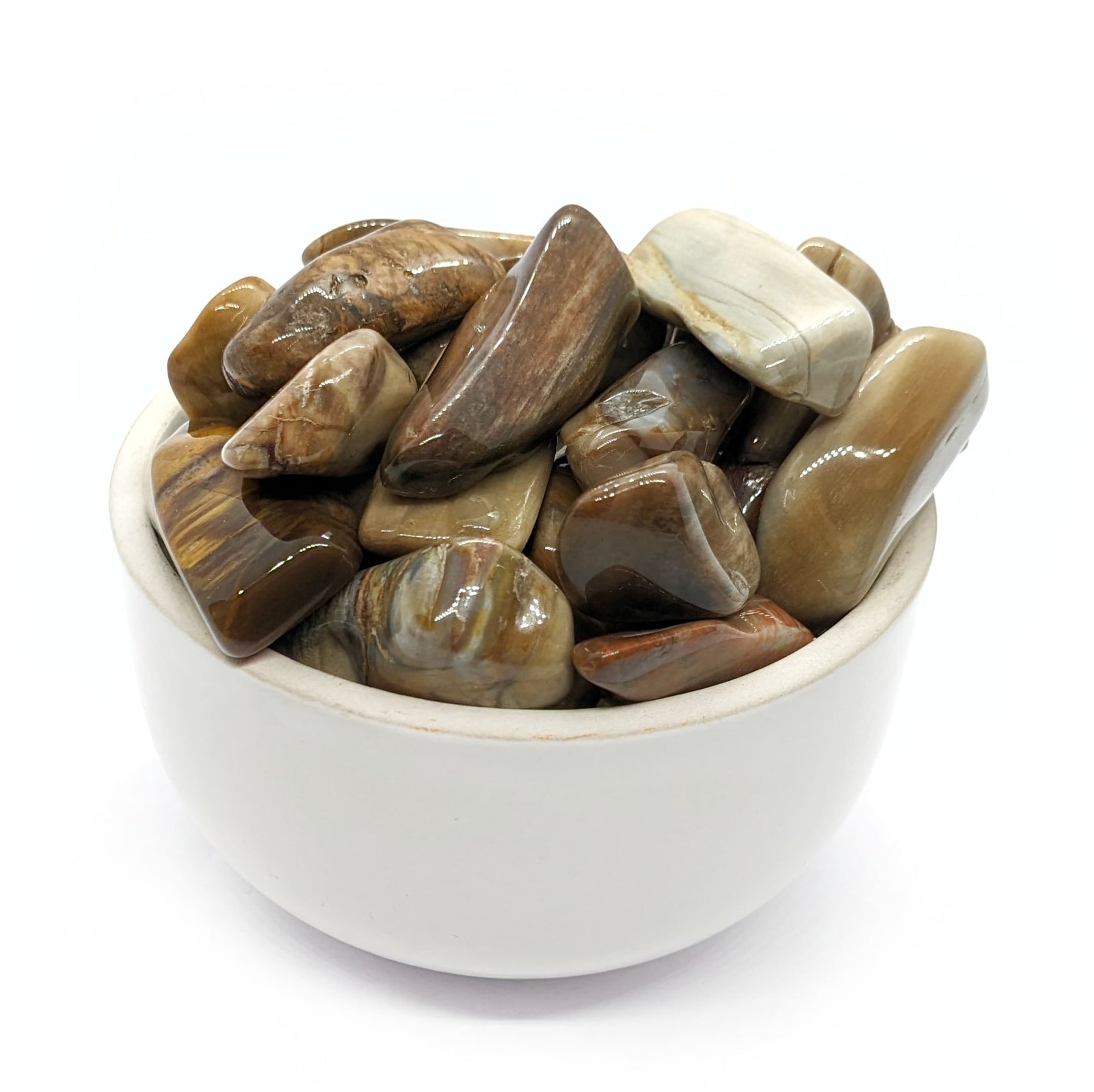 Bijoux et pierres en bois fossile