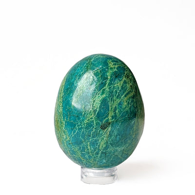 oeuf chrysocolle