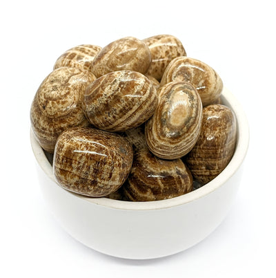 Pierre Roulée Aragonite – Stabilité et Équilibre Émotionnel