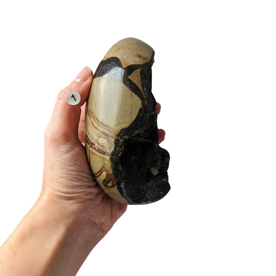 pierre septaria noire en forme oeuf